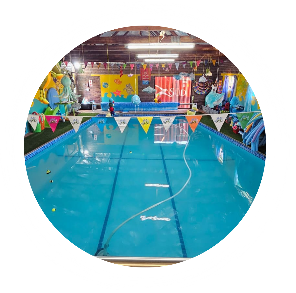 Geeweswim Website Images (5)